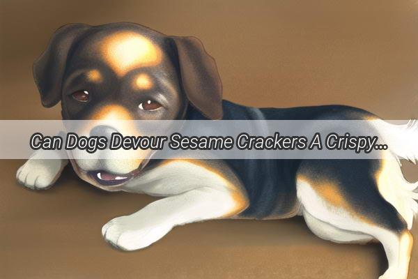 Can Dogs Devour Sesame Crackers A Crispy Debate Unleashed